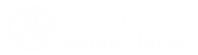 Fester Roma Norte